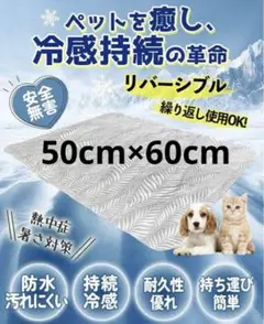 Item thumbnail for item d3ef99b0-1a22-41a0-810a-62e5949fc39c