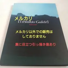 2025年最新】VERWELKTES GEDICHTの人気アイテム - メルカリ