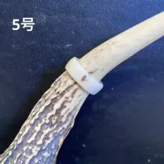 幸運の鹿の角リング185