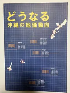 どうなる沖縄の地価動向　有限会社ニライ・カナイ研究所