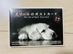 盲導犬クイール　ポストカード
