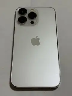 iPhone13Pro 256GB
