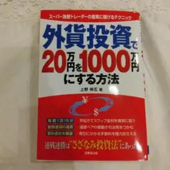 外貨投資で20万円を1000万円にする方法