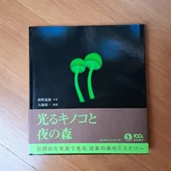 光るキノコと夜の森
