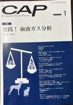 Item thumbnail for item 1371d3dc-1035-44ab-89fa-cd813014bfb1