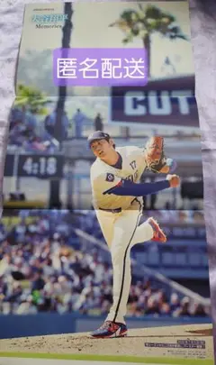 大谷翔平 ピンナップ 記事