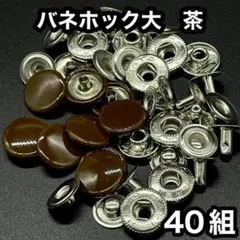 Item thumbnail for item 2ecb9812-0b88-4a97-bce8-f94bf3eb237b