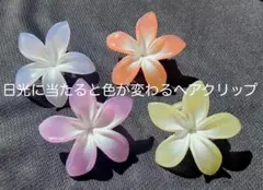 日光に当たると色が変わるプルメリア4個セット（アクセサリー、ヘアクリップ）