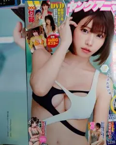 ヤングアニマル えなこ 表紙 両面BIGポスター DVD 付録付き 最新号
