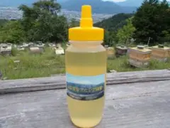 山梨県産 アカシア蜂蜜 300g(トンガリ容器)1本入り2022 年5月採り