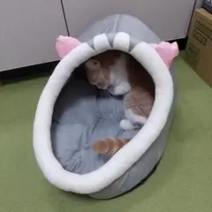 猫ちゃんベッド