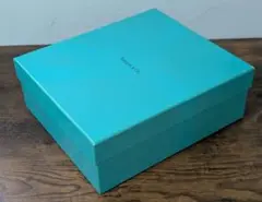 《新品》“ティファニー“ ペアワイングラス