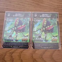 蟲神器 SR ヨツモンヒラタツユムシ 2枚セット