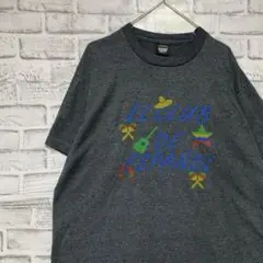 USA製90sヴィンテージTシャツ！シングルステッチ　グレー半袖古着　XL718