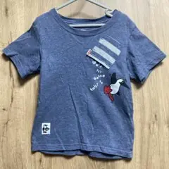 チャムス Tシャツ　キッズMサイズ（100-115cm相当）