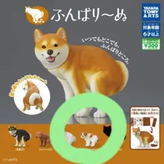 ふんばり〜ぬ　ジャックラッセルテリア