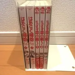 Item thumbnail for item b6c6a873-732b-42d6-ae3d-22664635492b