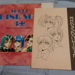 【マニュアル・ジャケットのみ】スーパーピンクソックス3+ ウェンディマガジン