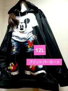 大きいサイズ12L