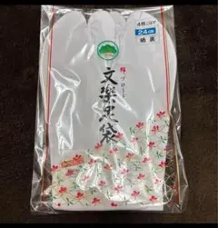 Item thumbnail for item bf4cc670-d3e6-4d1b-9040-3601877f8312