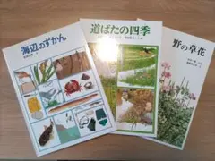 福音館のかがくのほん　海辺のずかん　道ばたの四季　野の草花　3冊セット