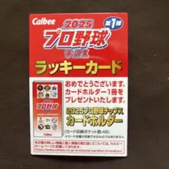 カルビー 2025プロ野球チップス ラッキーカード