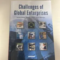 Challenges of Global Enterprises