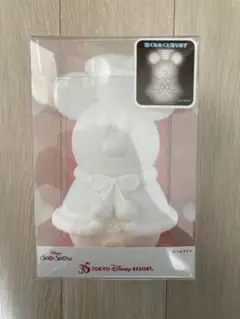 東京ディズニーリゾート SnoSnow ミッキー LEDライト