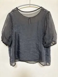 シースルー黒半袖トップス Lサイズ
