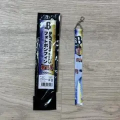オリックス・バッファローズ　フォトボンフィン　石川亮