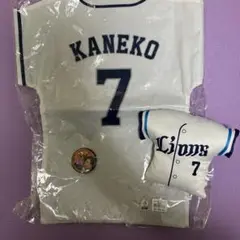 西武ライオンズ　金子侑司