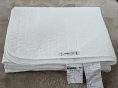 Item thumbnail for item 30e0d60d-82ff-4ccd-82c1-efd16cf3f2a0