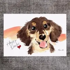 イラスト 原画 ポストカード 絵 【ダックス】132