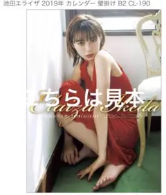 2025年最新】カレンダー 池田エライザの人気アイテム - メルカリ