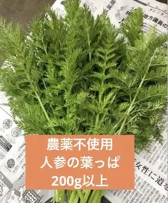 Item thumbnail for item e8af758c-3af5-447d-a30d-2e6db41283fe