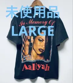 ⭐️未使用品Aaliyah TRY AGAIN S/S TEE Ｌサイズ☆