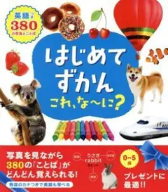 はじめてずかん これ、な〜に？ 英語つき　380の写真とことば 永岡書店