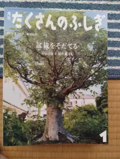 たくさんのふしぎ　馬と生きる　五十嵐大介　澄川嘉彦　福音館 馬と生きる (月刊たくさんのふしぎ2019年11月号) | 澄川 嘉彦