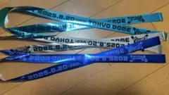 CRFES2025 銀テープフルサイズ3種セット