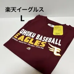 Item thumbnail for item b0790d86-fde2-4680-bdc7-43911685292c