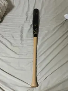 Item thumbnail for item 7aca85d8-5ded-4350-a1c7-01ff7a016314