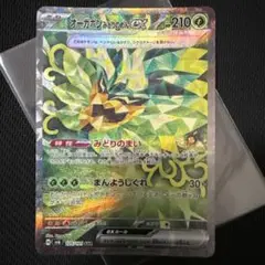 オーガポン みどりのめんex SAR SV6 変幻の仮面 125/101