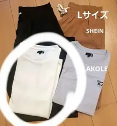メンズTシャツ　LAKOLE 　Lサイズ