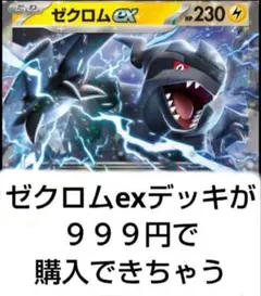 値下げ不可 ゼクロムexデッキ ミライドン テツノカイナ