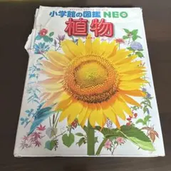 小学館の図鑑NEO 植物