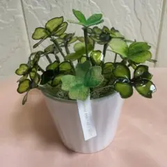 四葉のクローバー(幸！)