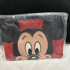 一番くじ　ディズニー　E賞　ポーチ