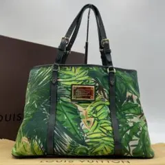 【新品同様】LOUIS VUITTON アイオール プロムナード カバPM