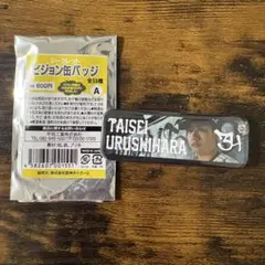 阪神タイガース ビジョン缶バッジ 漆原