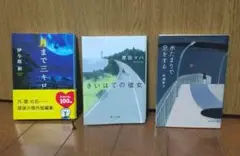 小説まとめ売り